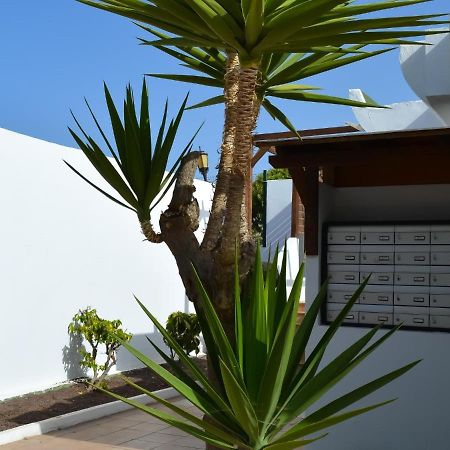Dunasol 341 By Best Holidays Fuerteventura Κοραλέχο Εξωτερικό φωτογραφία