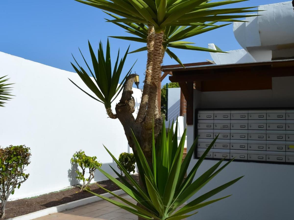 Dunasol 341 By Best Holidays Fuerteventura Κοραλέχο Εξωτερικό φωτογραφία